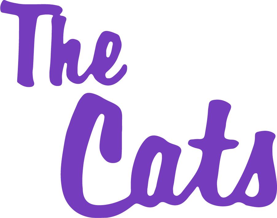 Western Carolina Catamounts 1971-1997 Secondary Logo diy iron on heat transfer